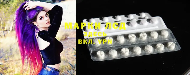 ЛСД экстази ecstasy  где купить наркоту  Шадринск 